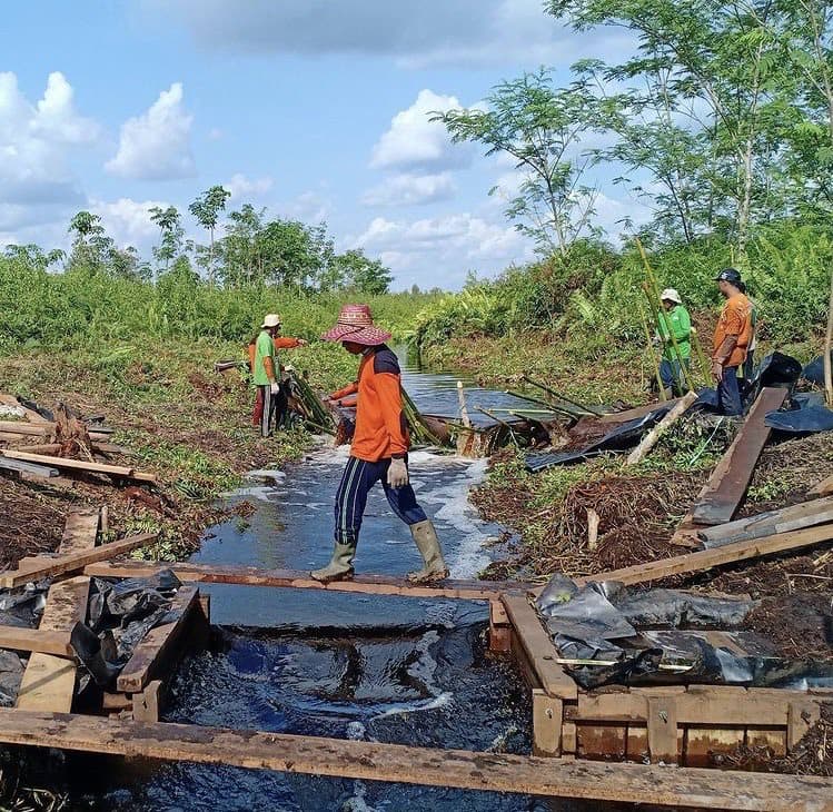 Workers in a field