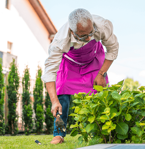 Man in pink apron gardening