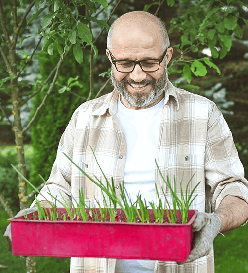 Man gardening holding a tray of buds