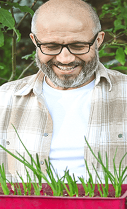 Man gardening holding a tray of buds