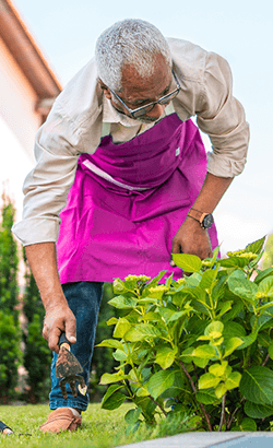 Man in pink apron gardening